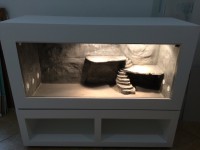 /album/fotogalerie-fotogalerie-meiner-arbeiten/terrariumneu1-jpg/