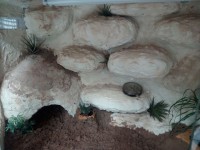 /album/fotogalerie-fotogalerie-meiner-arbeiten/terra7-jpg/