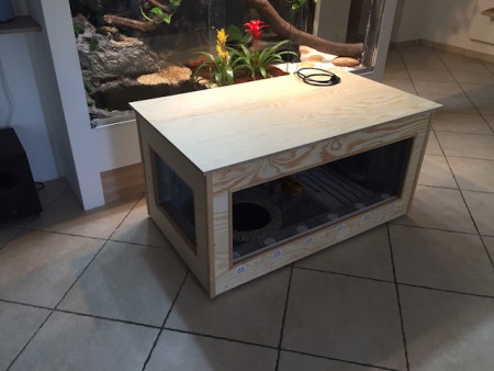 KIEFER MASSIV (KEIL LOOSDORF)